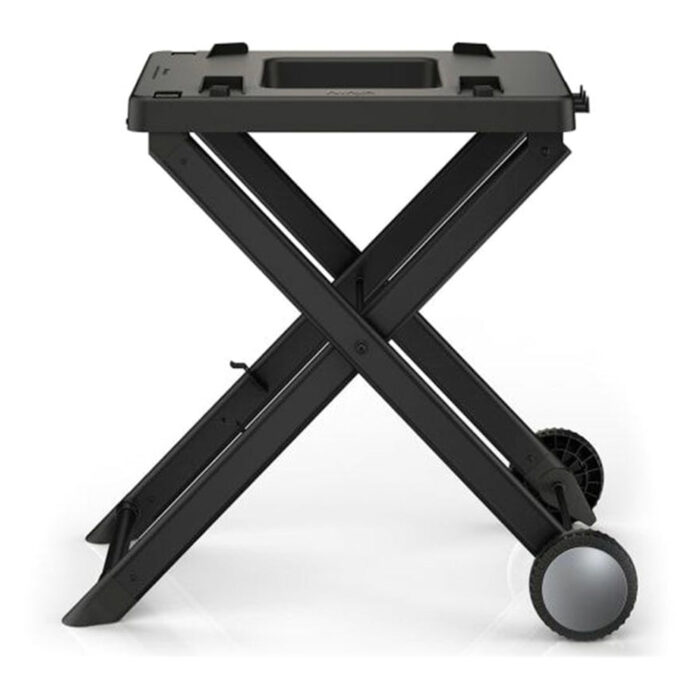 Ninja Woodfire Electric BBQ Grill Stand | XSKGRLLSTDEUK